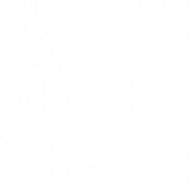 icon instagram